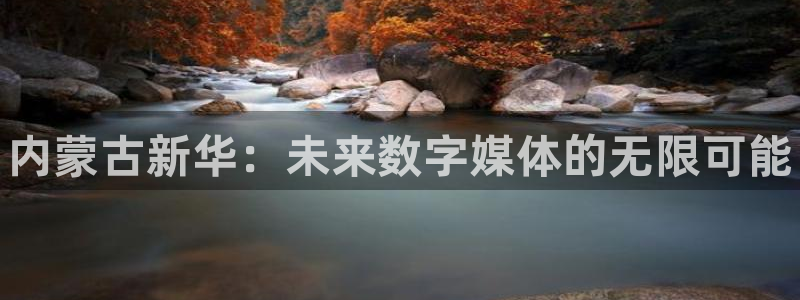 蓝狮logo片头米高梅狮子：内蒙古新华：未来数字媒体的无限可能