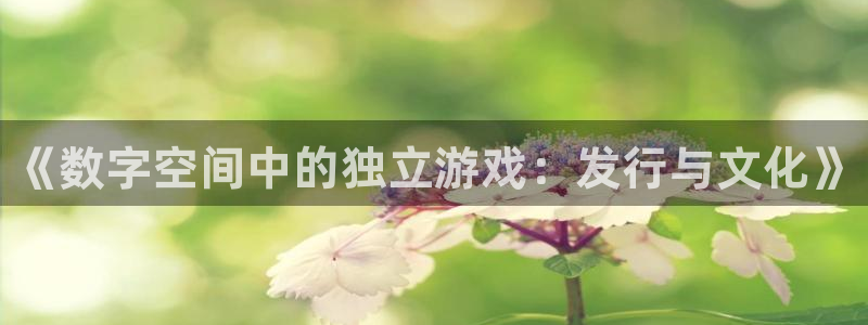 蓝狮在线平台合法吗：《数字空间中的独立游戏：发行与文化》