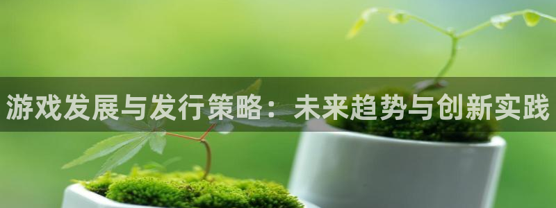 蓝狮在线客服电话