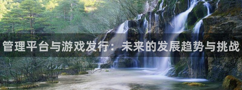 蓝狮子文化创意有限公司：管理平台与游戏发行：未来的发展趋势与挑战