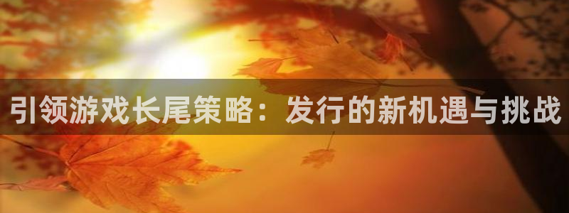 蓝狮户外：引领游戏长尾策略：发行的新机遇与挑战