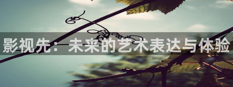 熊猫电影网站：影视先：未来的艺术表达与体验