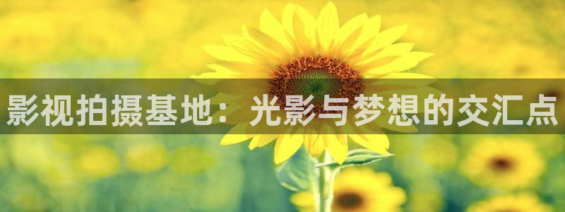 熊猫视频直播：影视拍摄基地：光影与梦想的交汇点