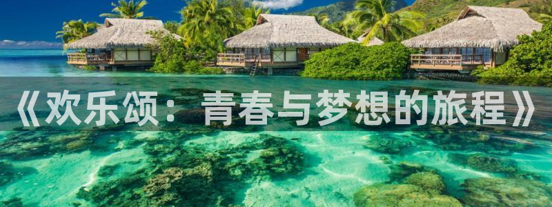 熊猫影院tv在线播放：《欢乐颂：青春与梦想的旅程》