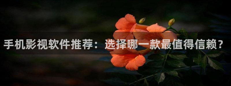 熊猫高清在线观看：手机影视软件推荐：选择哪一款最值得信赖？