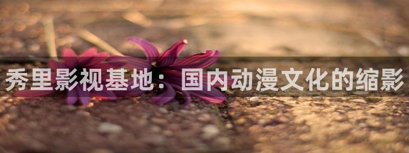 熊猫电影yy8y3(4)：秀里影视基地：国内动漫文化的缩影