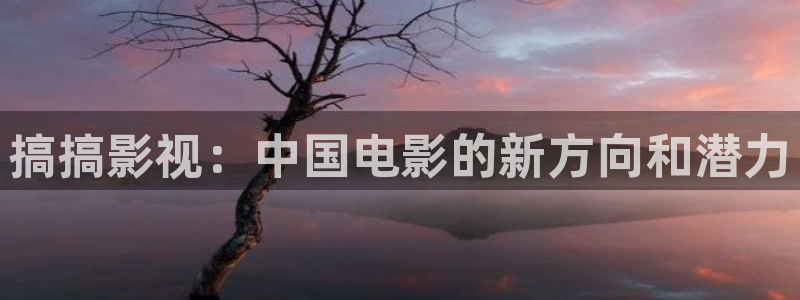 熊猫电影yy8y3(4)：搞搞影视：中国电影的新方向和潜力