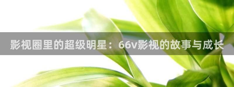 熊猫电影yy8y3(7)：影视圈里的超级明星：66v影视的故事与成长