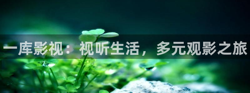 熊猫在线电影：一库影视：视听生活，多元观影之旅